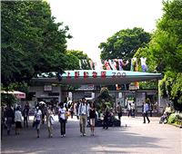 حديقة حيوان أوينو بطوكيو تحتفل بميلاد أول فيل منذ افتتاحها في عام 1882