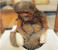 قصة صورة| «ميمون» الفرعوني.. القرد المصري الحزين    