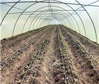 الزراعة: هناك اهتمام كبير من القيادة السياسية بتحديث منظومة الري الحقلي