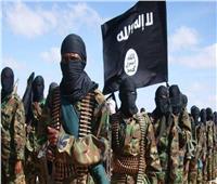اعتقال 4 من إرهابيي «داعش» في نينوي شمالي العراق