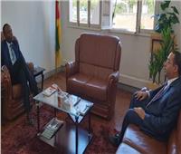 سفير مصر في مابوتو يلتقي مع وزير الإسكان الموزمبيقي 