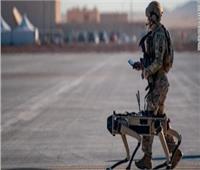«الكلاب الآلية» القوة السرية لتأمين قواعد القوات الجوية الأمريكية