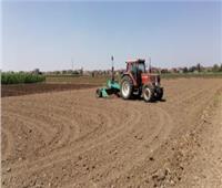 «زراعة المنوفية» تجهيز مساحة 300 فدان بالليزر لمحصول القمح