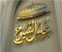 لائحة «الشيوخ» تحدد اختصاصات لجنة الشؤن العربية