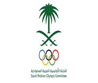 الأولمبية السعودية وأمانة مجموعة العشرين تنظمان مؤتمر ‏اللجان الأولمبية