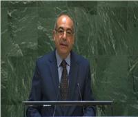 مندوب مصر بالأمم المتحدة: حل الدولتين الرؤية المتفق عليها للقضية الفلسطينية