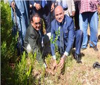 1200 شجرة لتجميل محافظة الأقصر ضمن مبادرة «هنجملها»
