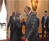 وزير الخارجية يبحث مع نظيره الإريتري التطورات في القرن الإفريقي ..صور