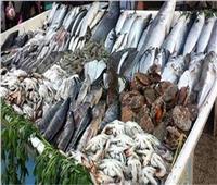 ننشر أسعار الأسماك في سوق العبور اليوم .. سعر كيلو قشر البياض 70 جنيهًا