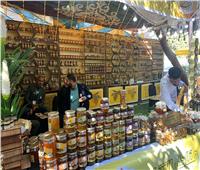 إقبال جماهيري مكثف على مهرجان العسل المصري