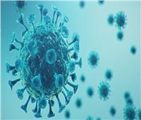 السنغال تسجّل 17 إصابة جديدة بفيروس كورونا