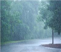 «الأرصاد» تكشف خريطة سقوط الأمطار في اليوم الثاني من الطقس السيئ