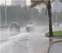 فيديو| المرور: «خط ساخن» لمساعدة السائقين المتضررين من الأمطار 
