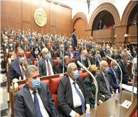 برلماني يطالب بوجود لائحة مجلس الشيوخ «ورقيا» 