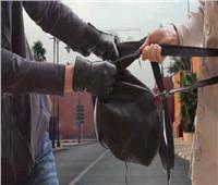 ضبط عصابة تقوم بخطف حقائب النساء بالغربية