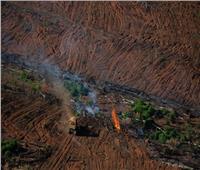 برازيل بولسونارو: تدمير الأمازون  يقفز لأعلى مستوى في 12 عامًا 
