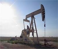 ارتفاع أسعار النفط مع استئناف «أوبك+» محادثات تمديد خفض الإنتاج