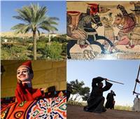 3 فنون تراثية مصرية ونخلة مسجلة في «اليونسكو»