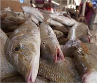 بورصة أسعار الأسماك في سوق العبور اليوم.. و سعر كيلو قشر البياض من ٦٠إلى ٨٦جنيه