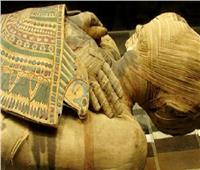 نكشف حقيقة إصابة المصريين القدماء بالسرطان .. وقصة سمكة برأس بقرة