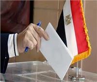 19.12 %.. نسبة التصويت في جولة الإعادة بـ«جنوب سيناء»