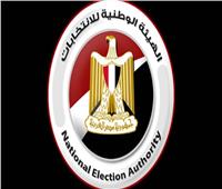 قاضي مصري يصمم برنامج للفرز الرقمي للانتخابات البرلمانية