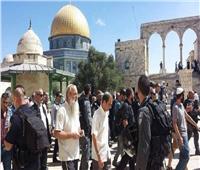 100 مستوطن و50 شرطيًا إسرائيليًا يقتحمون المسجد الأقصى