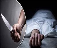 حبس شاب قتل شقيقه في مشاجرة بمنشأة ناصر