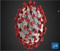 السعودية تعتمد لقاح «فايزر-بيونتيك» لفيروس كورونا