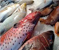 أسعار الأسماك في سوق العبور اليوم.. والماكريل بـ٢٥ جنيها