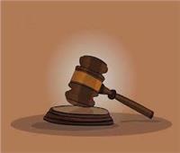 الحكم في إعادة محاكمة متهم بـ«أحداث عنف المرج».. 13 يناير
