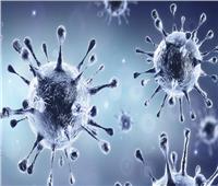 اللجنة العليا للفيروسات تكشف موعد ذروة الموجة الثانية لـ «كورونا»