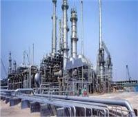 سعد هلال: وزارة البترول تدعم استمرار النهوض بصناعة الكيماويات