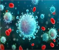 أستاذ فيروسات ومناعة: من المبكر الحديث عن سلالة جديدة لـ «كورونا»
