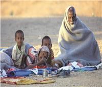 «السودان» يرسل تعزيزات عسكرية كبيرة للحدود مع «إثيوبيا»