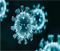 «علمية كورونا»: سلالة الفيروس الجديدة موجودة في دول آخري