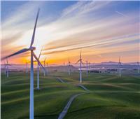 مزارع الرياح البريطانية تحطم رقمَا قياسيًا في توليد الطاقة النظيفة