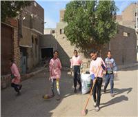مبادرة «قريتي نظيفة» تواصل فعالياتها بقنا | صور