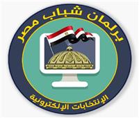 «الرياضة» تعلن إجراءات التصويت الإلكتروني ببرلمان شباب مصر