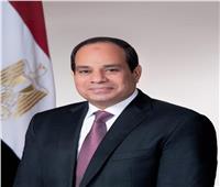 الرئيس السيسي يهنئ الجاليات المصرية بالخارج بمناسبة العام الميلادي الجديد