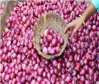 أول قرار لوزير الزراعة في 2021| فتح السوق الإندونيسي أمام البصل المصري