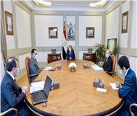 الرئيس السيسي يوجه بتطوير جهود الدولة للاستفادة من موارد البترول والغاز.. فيديو