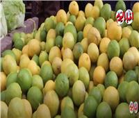 بعد ارتفاع أسعاره .. الليمون غلب الطماطم في «الجنون» | فيديو 