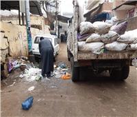 رفع تجمعات القمامة في «الشهداء» بالمنوفية.. صور