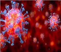 خاص| مدير مستشفيات جامعة القاهرة يكشف طرق اختبارات فيروس كورونا