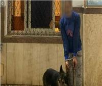 «متنمر» يروع مهتز نفسيا بكلب شرس في الإسكندرية