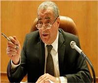 وزير التموين: مصر لديها احتياطي جيد من السلع الاستراتيجية