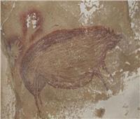 اكتشاف لوحة لخنزير يعود تاريخها لأكثر من 45 ألف عام