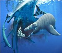 «سحلية البحر المرعبة».. جابت سواحل إفريقيا قبل 66 مليون سنة | صور 