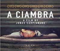 عرض A Ciambra في جمعية الفيلم.. السبت 23 يناير